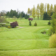 Cedar Hill golf course
