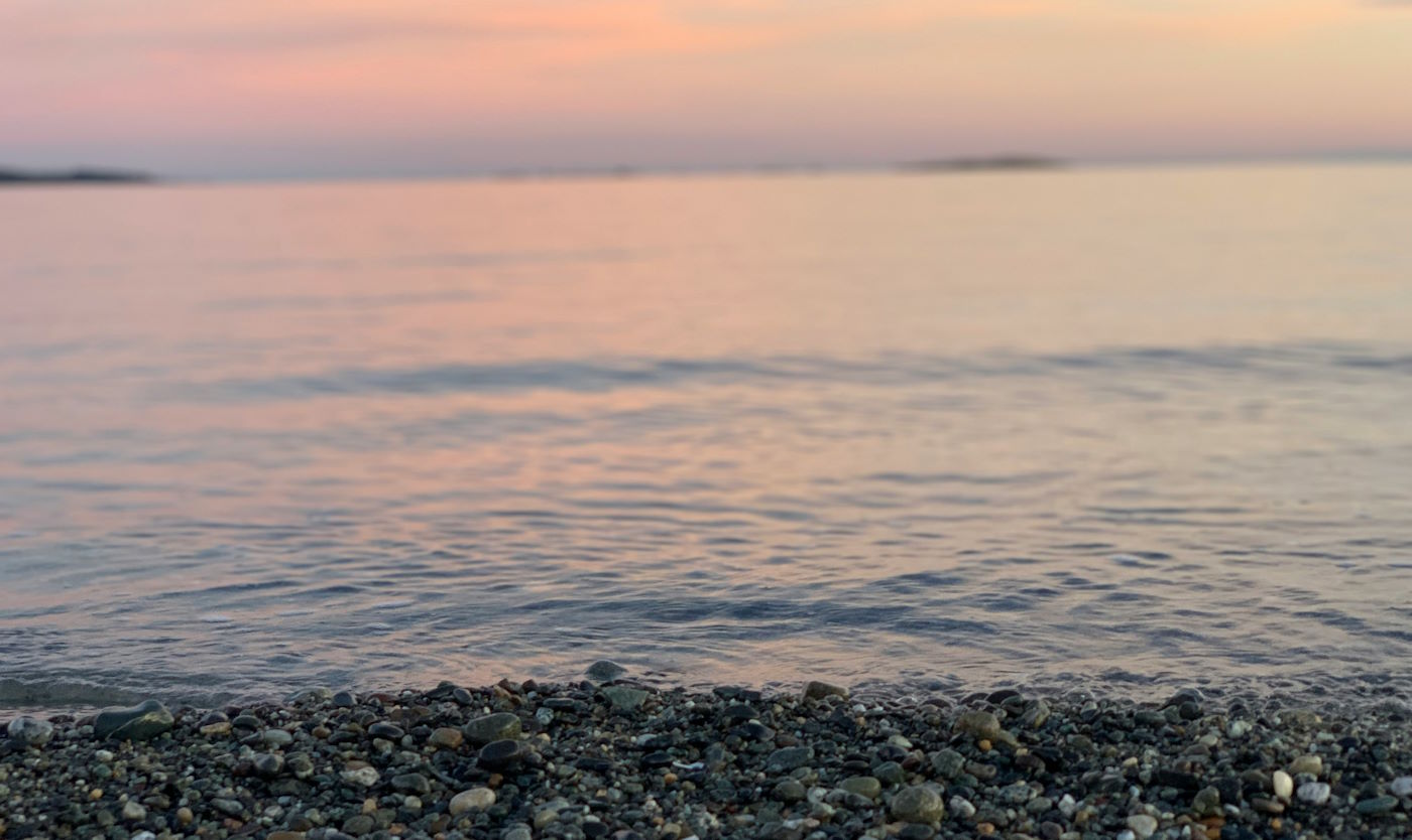 beach in Oak Bay