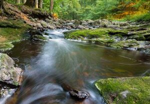 Creek