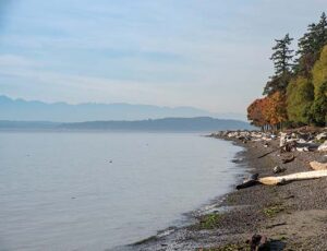 Beach view