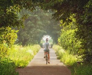 Bike on trail