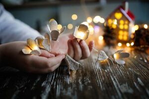Christmas Giving