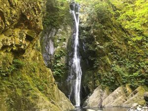 Goldstream Provincial Park