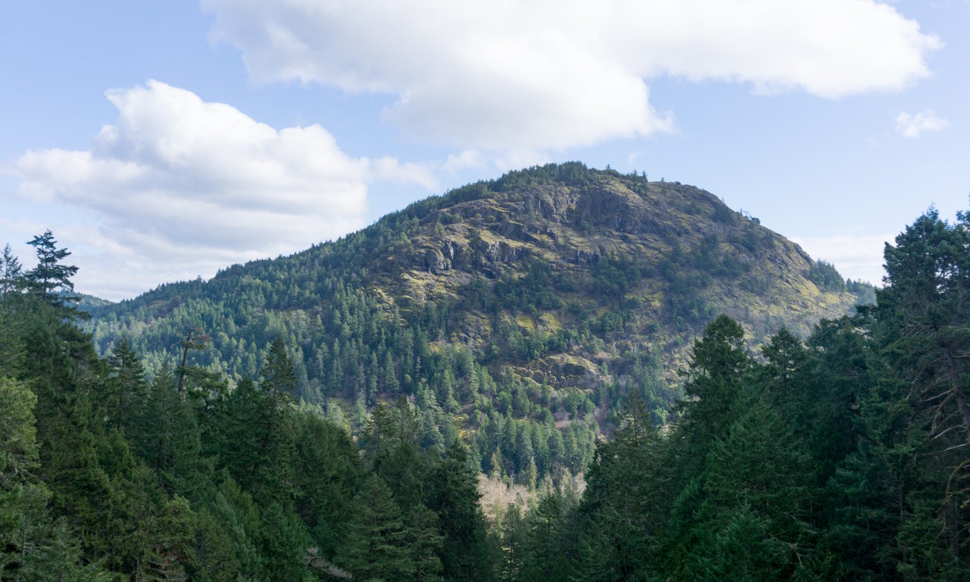 Mt. Finlayson view