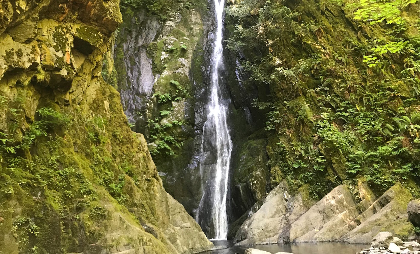 waterfall in the forest