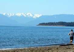 Royal Bay beach