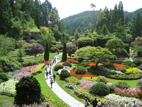 Butchart Gardens