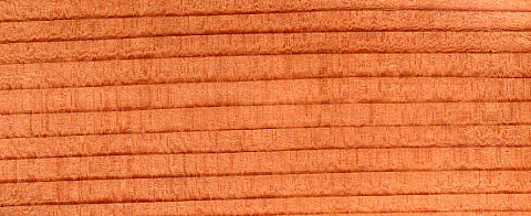 Example of Coastal Red Cedar