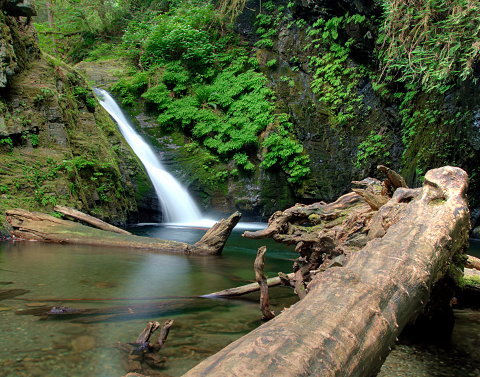 Goldstream Park