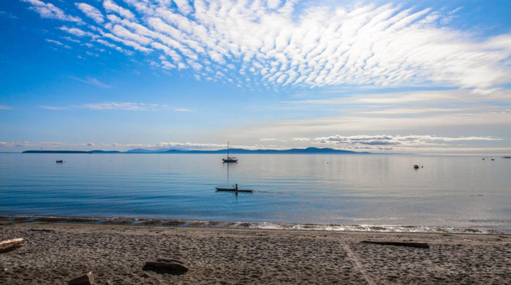 Beach in Oak Bay