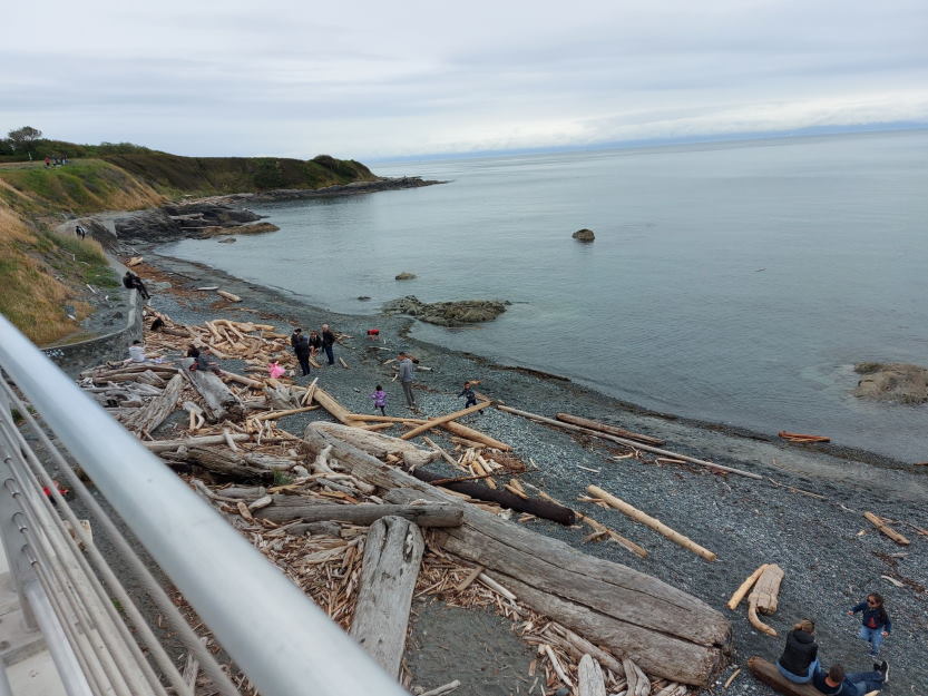 dallas road beach