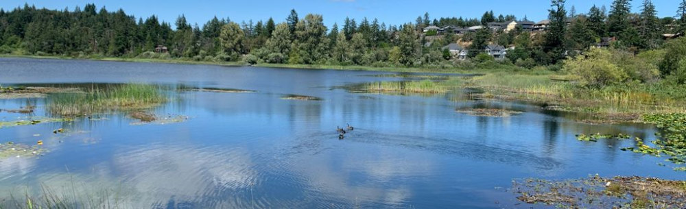 lake panoramic 