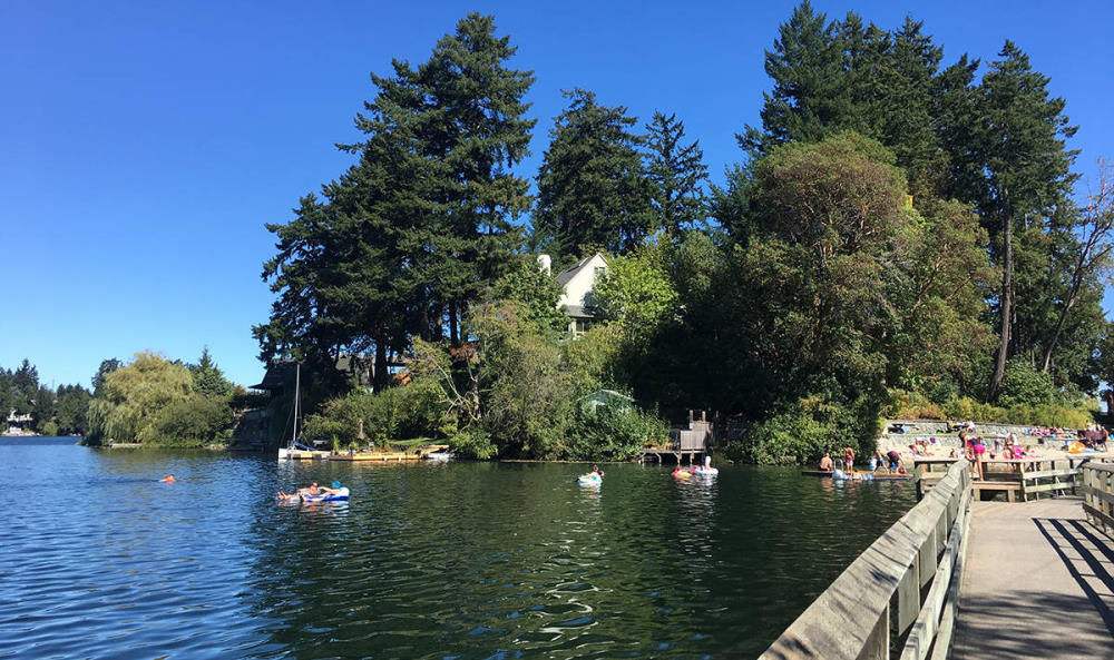 people playing a the lake