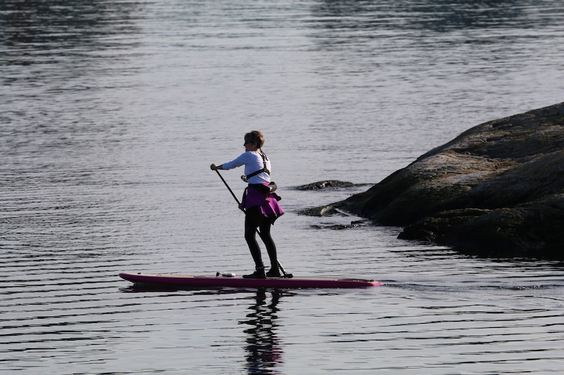 paddleboarder 