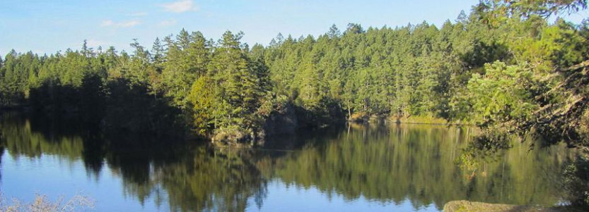 calm day at Thetis lake