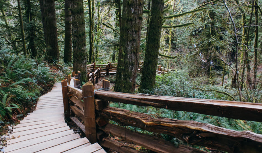 Goldstream falls path