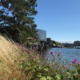 ocean view in Burnside