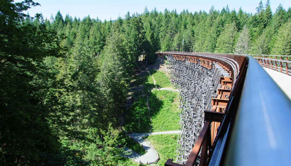 view of the Kinsol Trestle