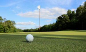 golf ball on the green