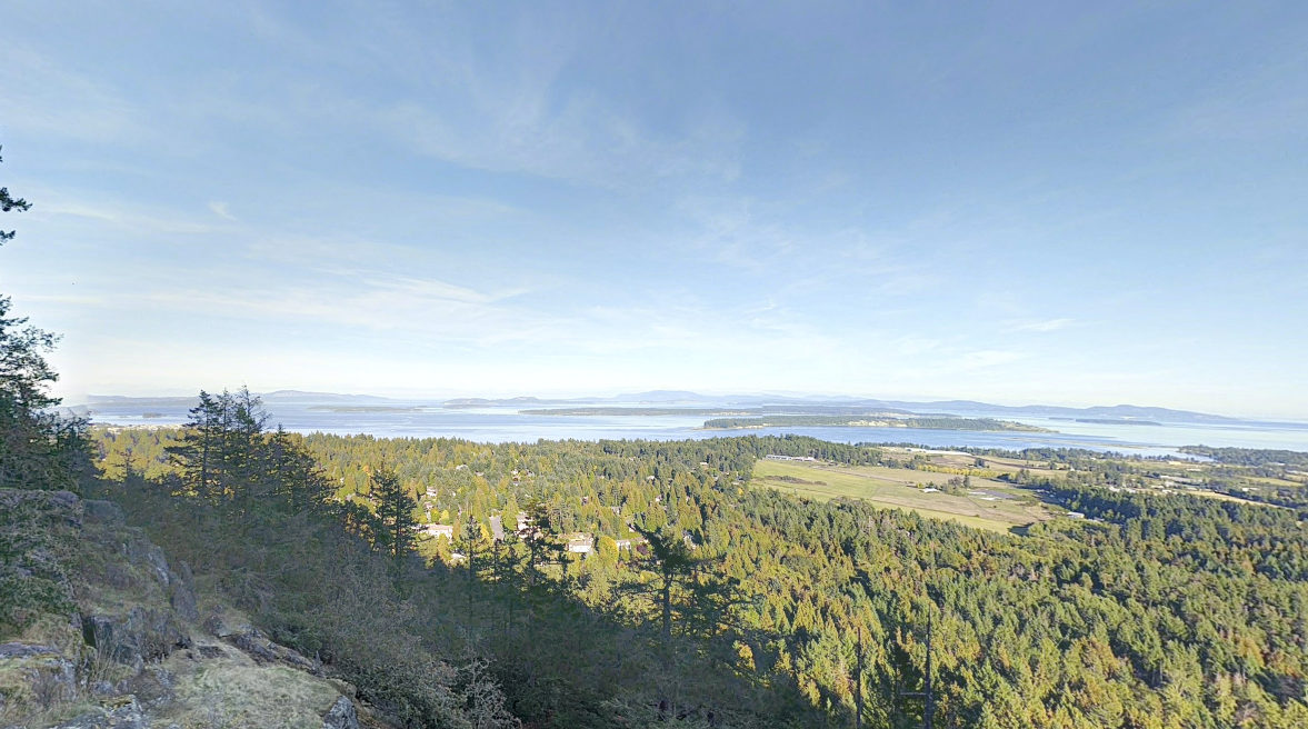 view from Dean Park