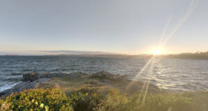 Saxe Point Park