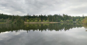 Beaver Lake
