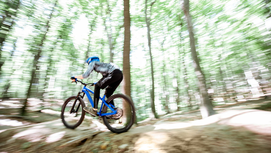 mountain biking through the forest